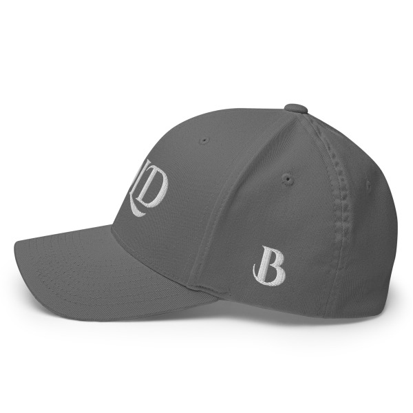 Twill Cap - Image 12
